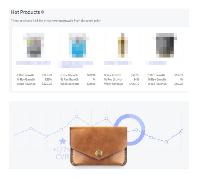 Ecommerce Insights feature